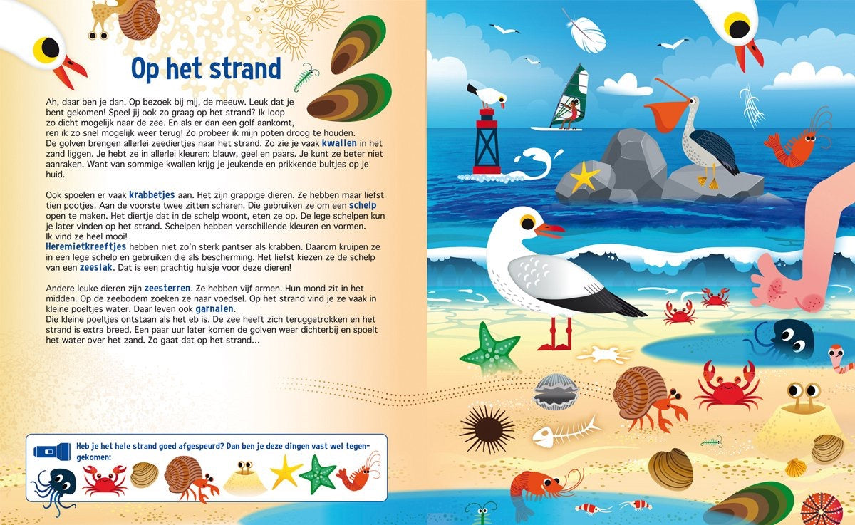 Speuren in de dierenwereld, zaklampboek