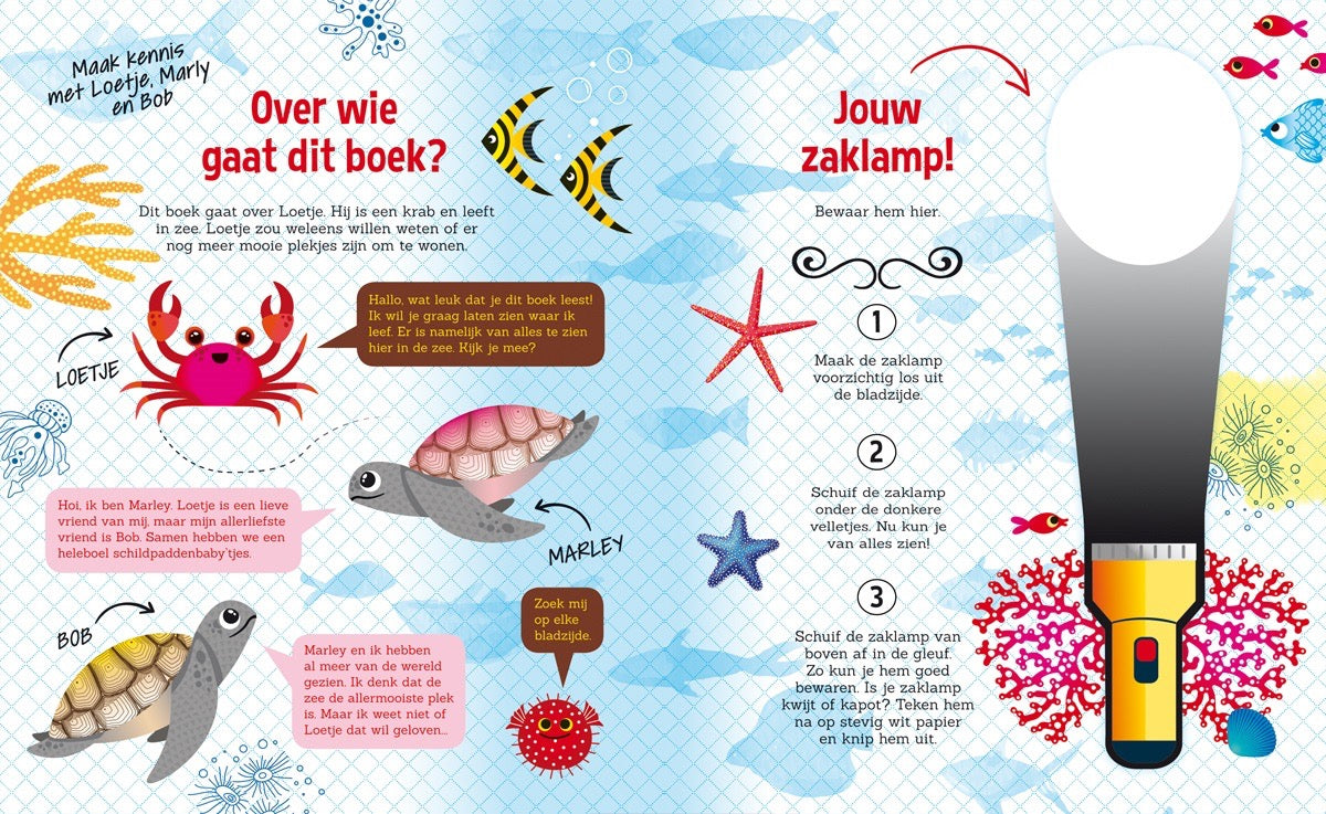 Speuren in het water zaklampboek