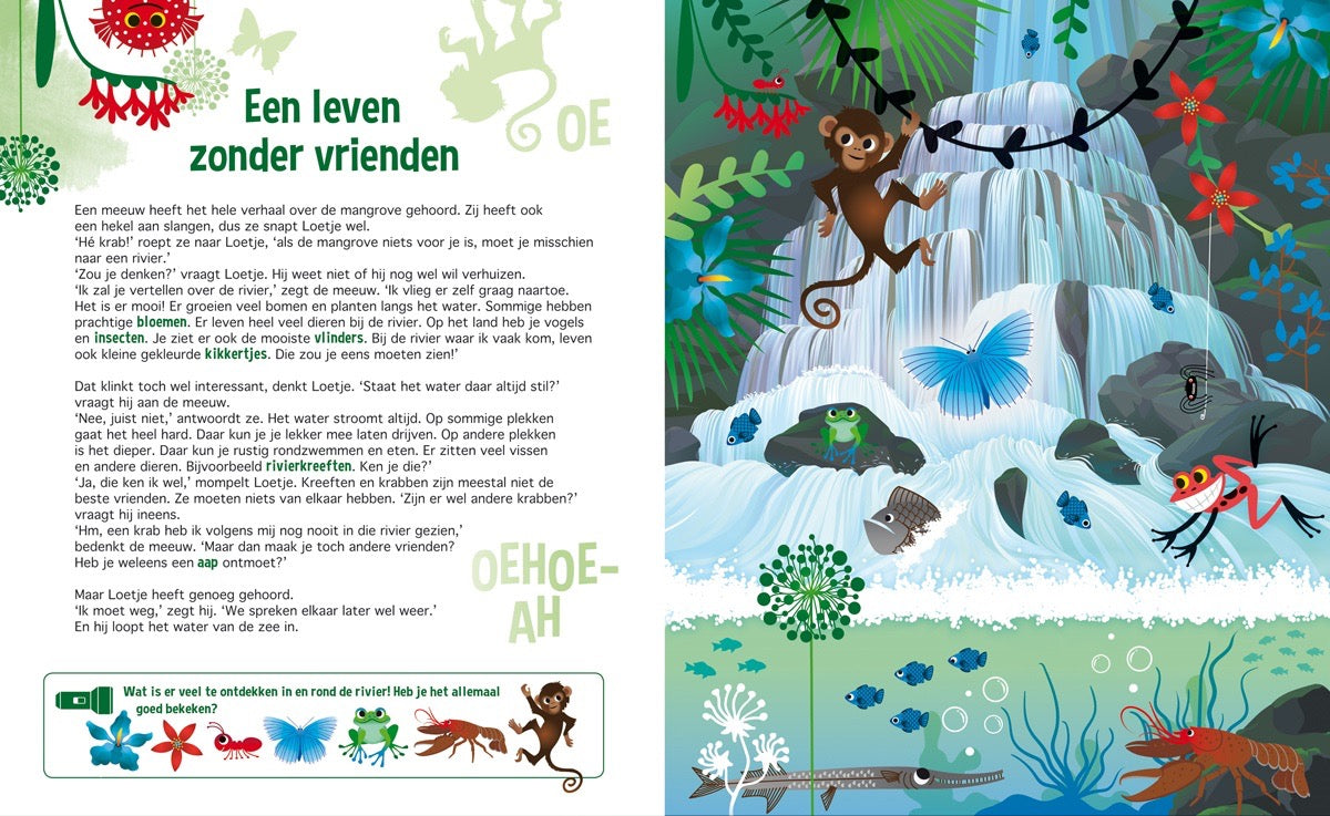 Speuren in het water zaklampboek