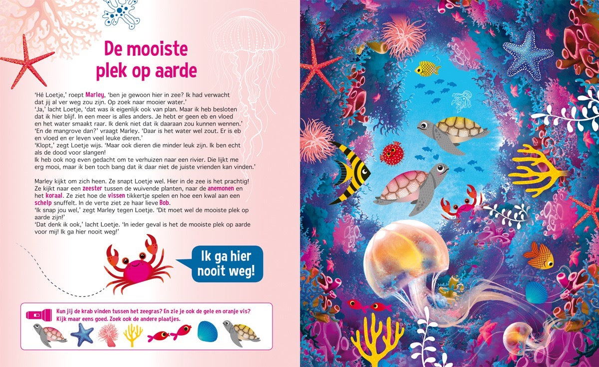 Speuren in het water zaklampboek