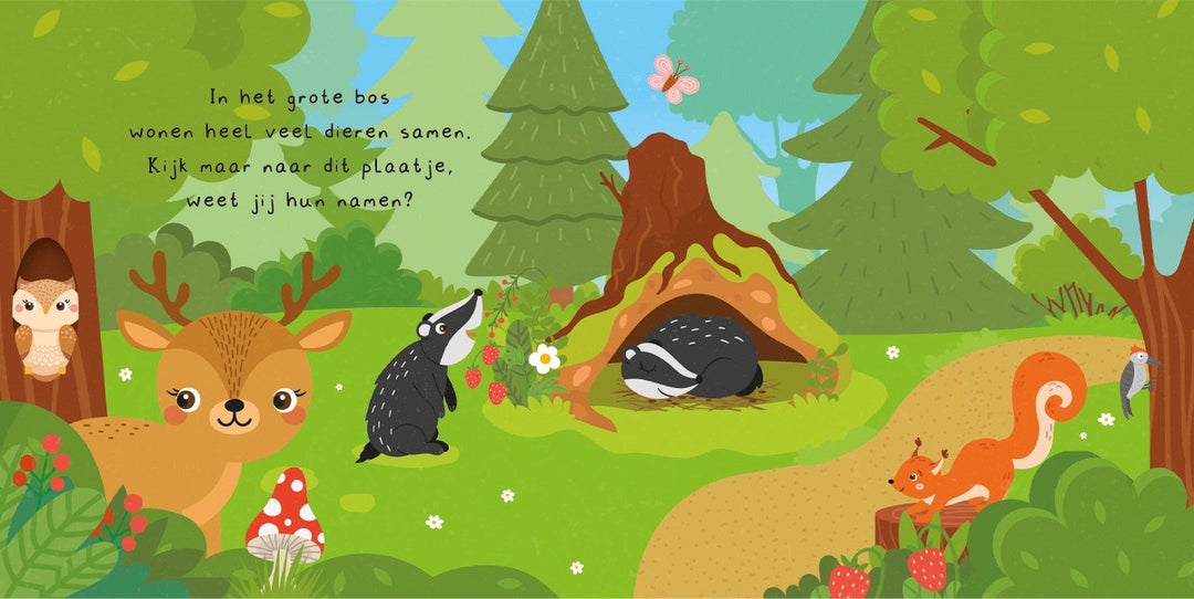 Kun je mij vinden? In het bos