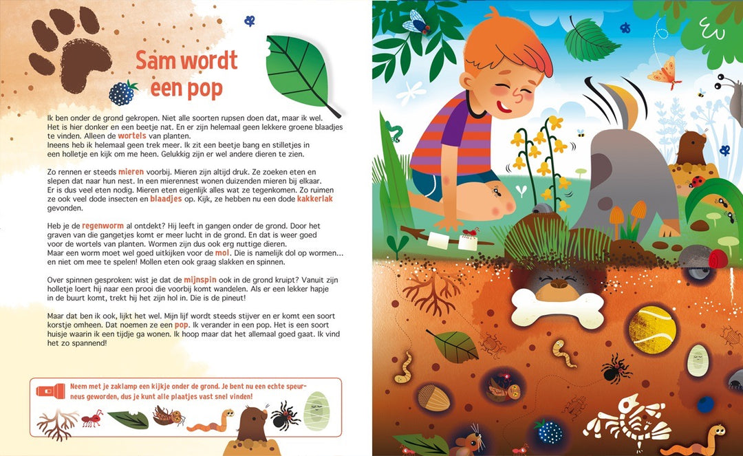 Speuren naar insecten