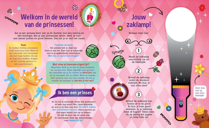 Speuren met Prinsessen zaklampboek 